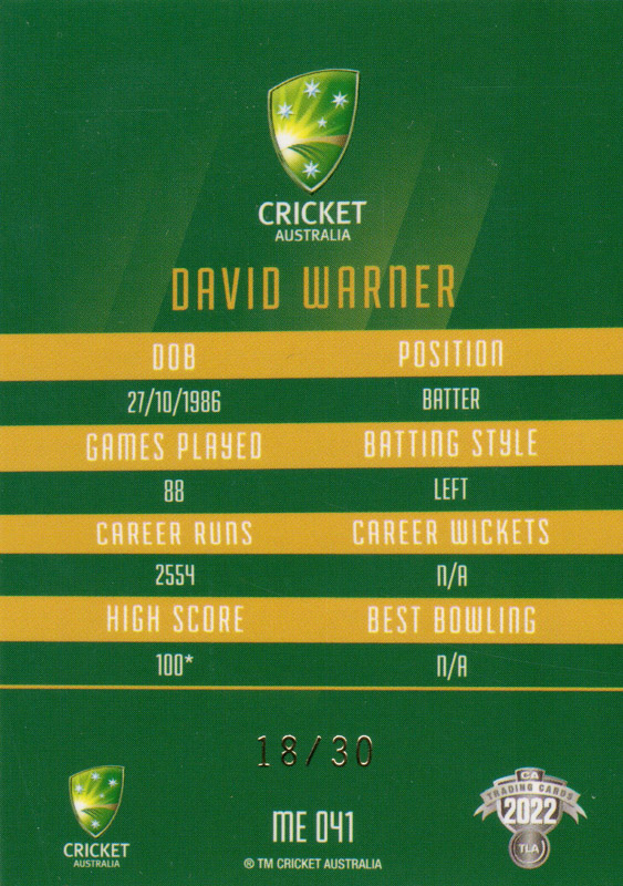 David Warner back