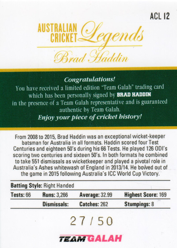 Brad Haddin back