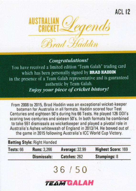 Brad Haddin back