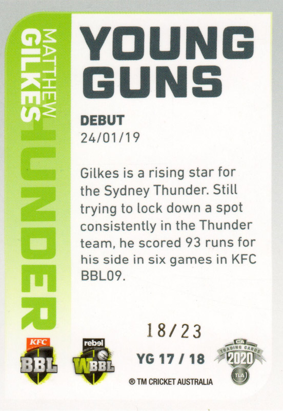 Matt Gilkes back