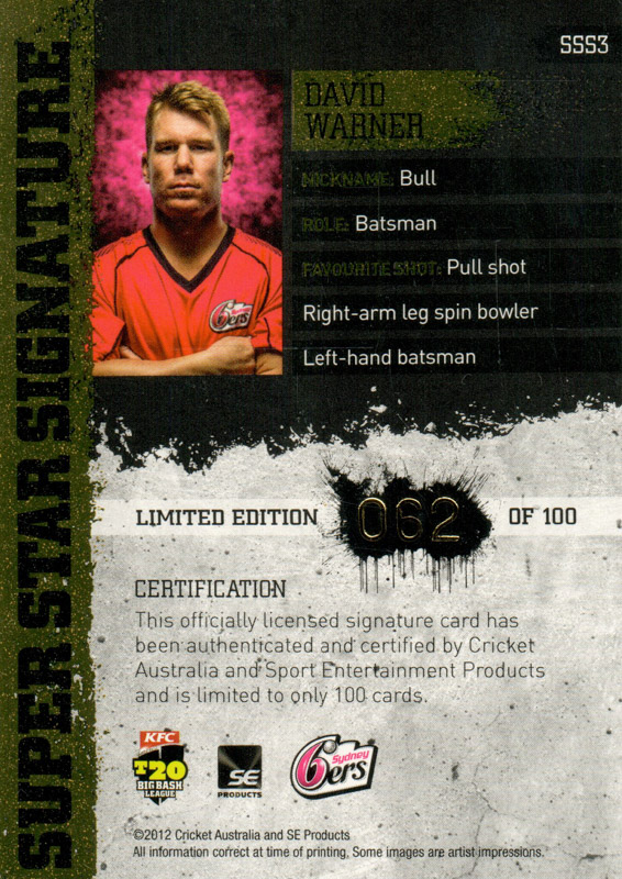 David Warner back