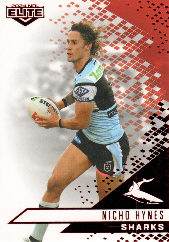 Nicho Hynes