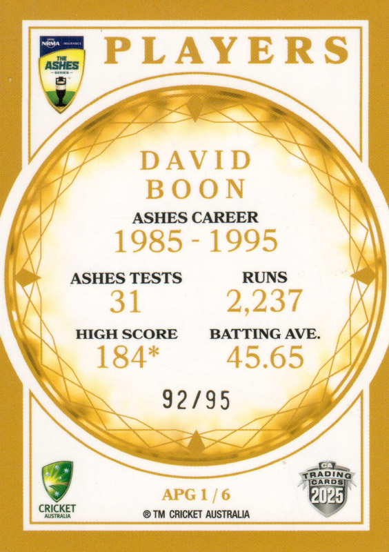 David Boon back