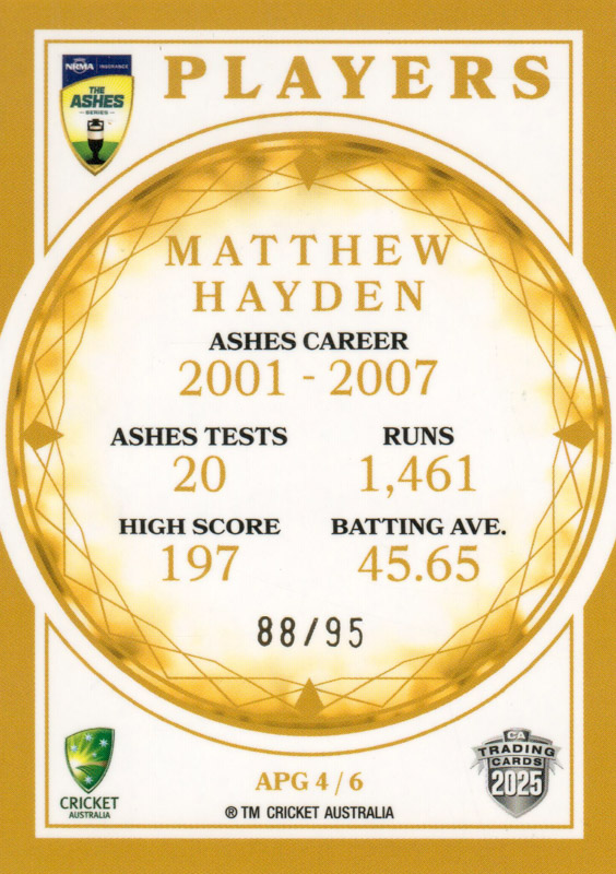 Matthew Hayden back