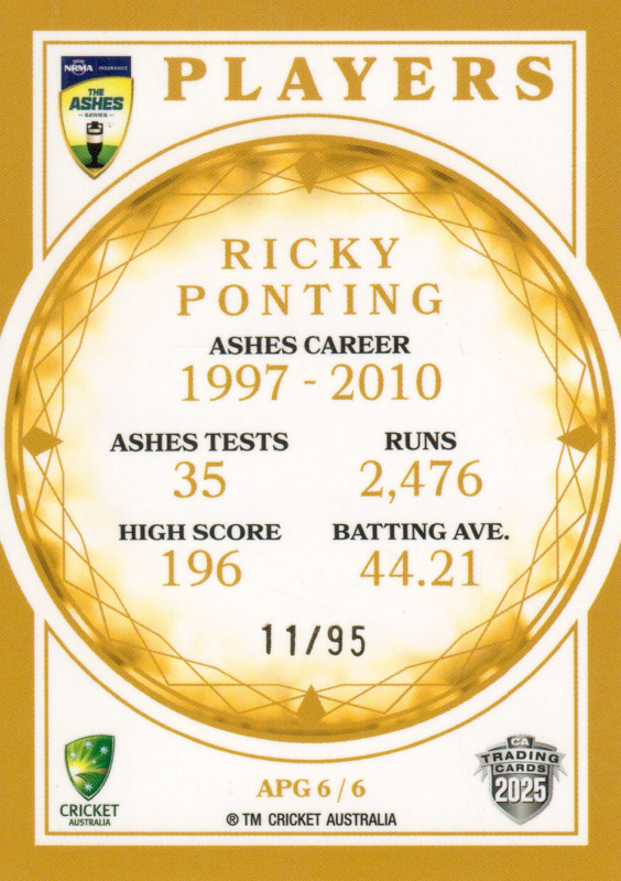 Ricky Ponting back