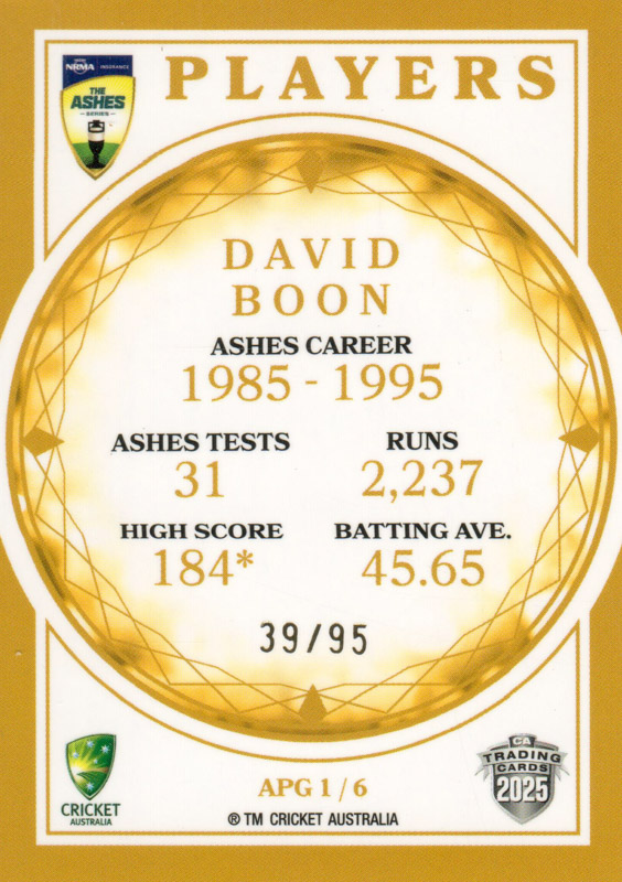 David Boon back