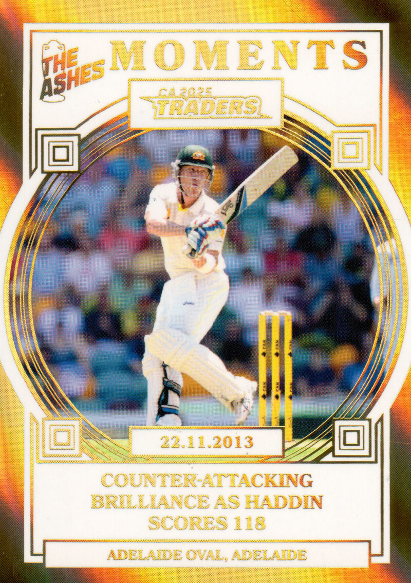 22.11.2013 - Adelaide Oval