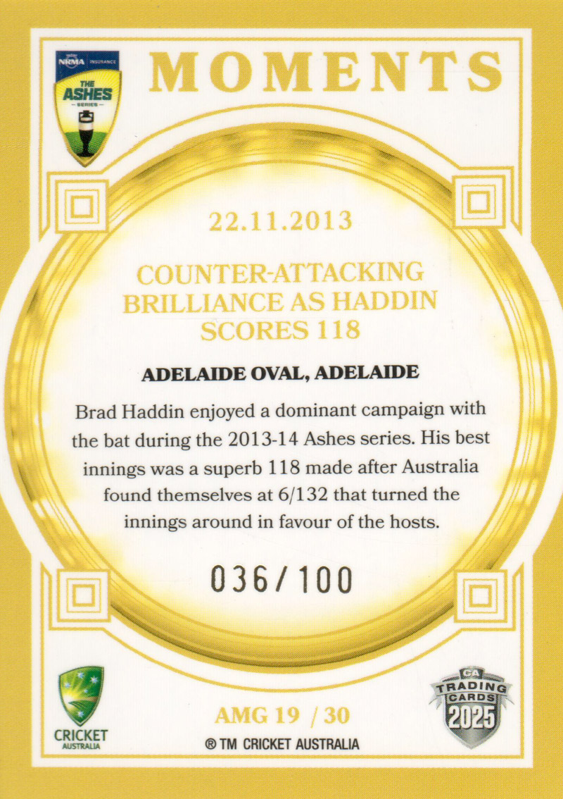 22.11.2013 - Adelaide Oval back