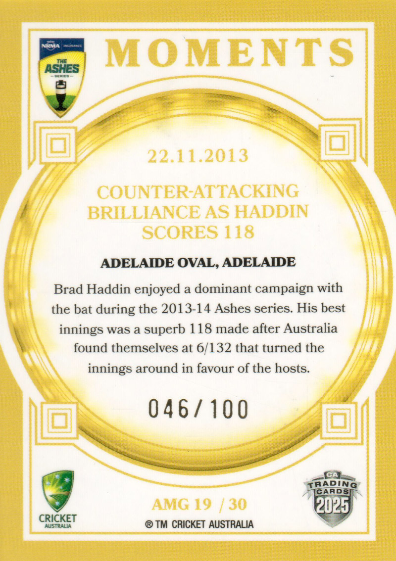 22.11.2013 - Adelaide Oval back