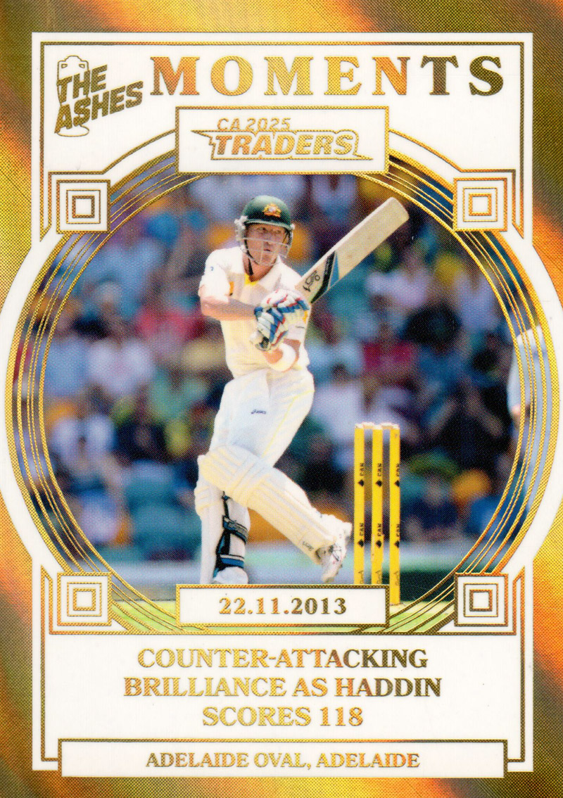 22.11.2013 - Adelaide Oval