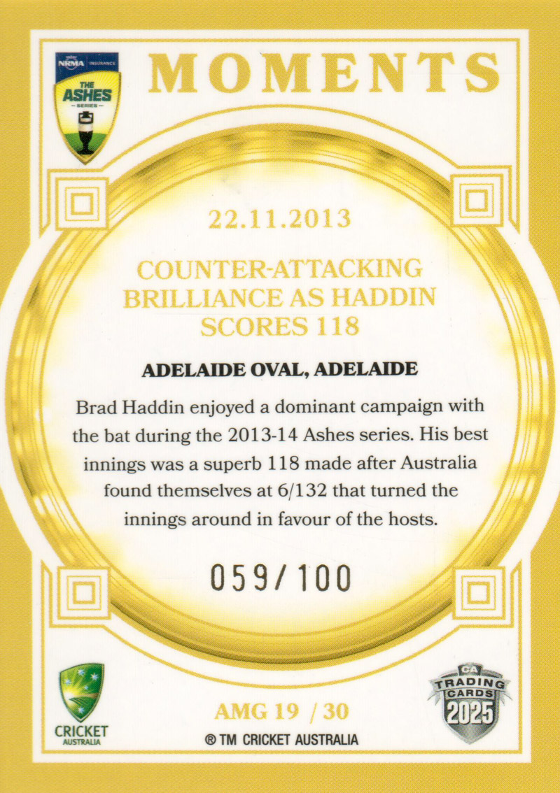 22.11.2013 - Adelaide Oval back