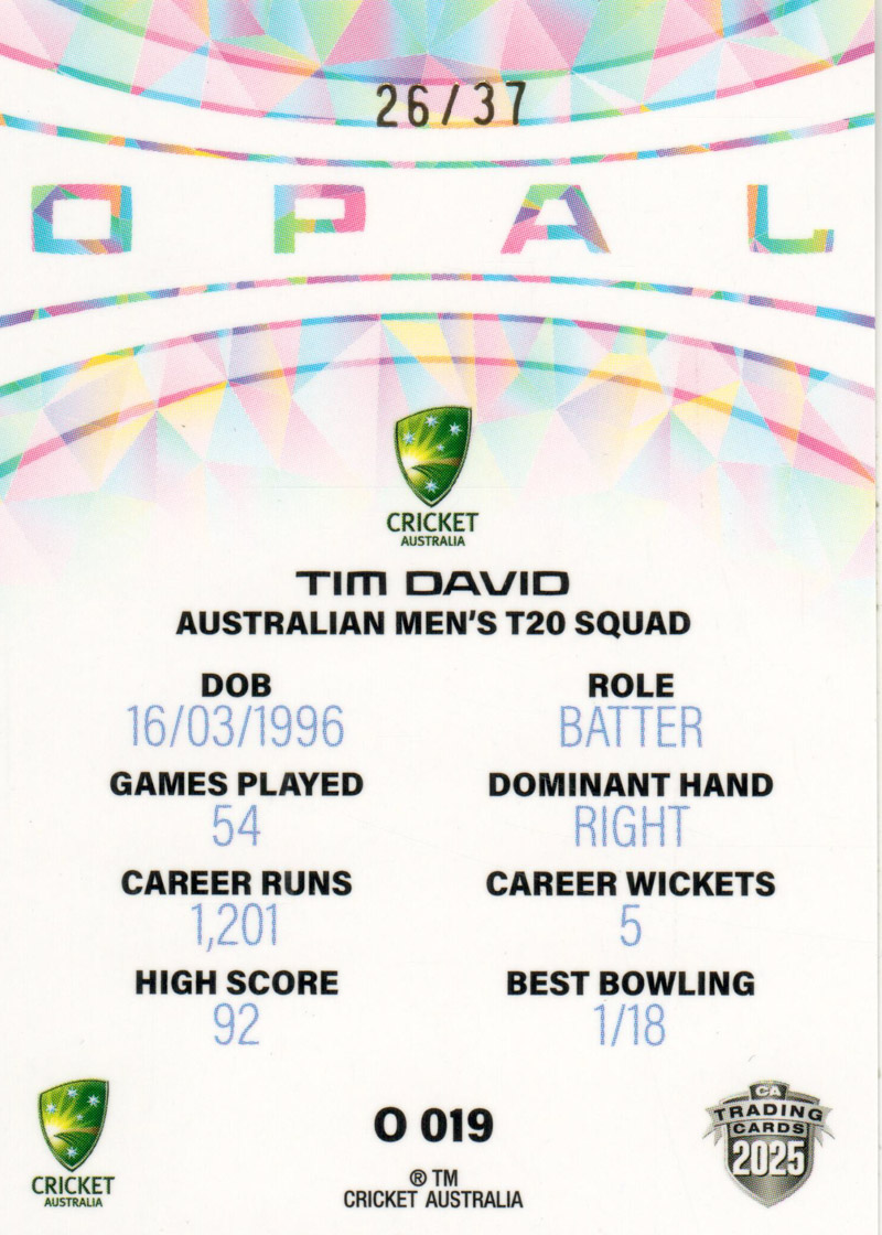 Tim David back