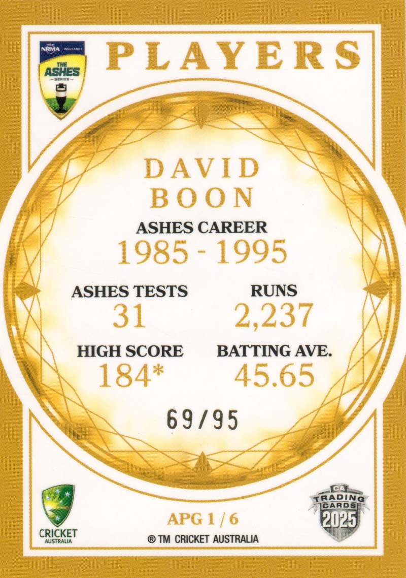 David Boon back