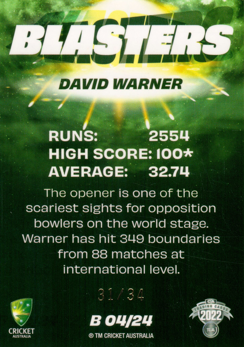 David Warner back
