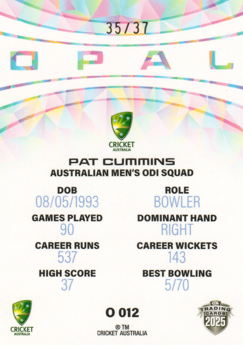 Pat Cummins back