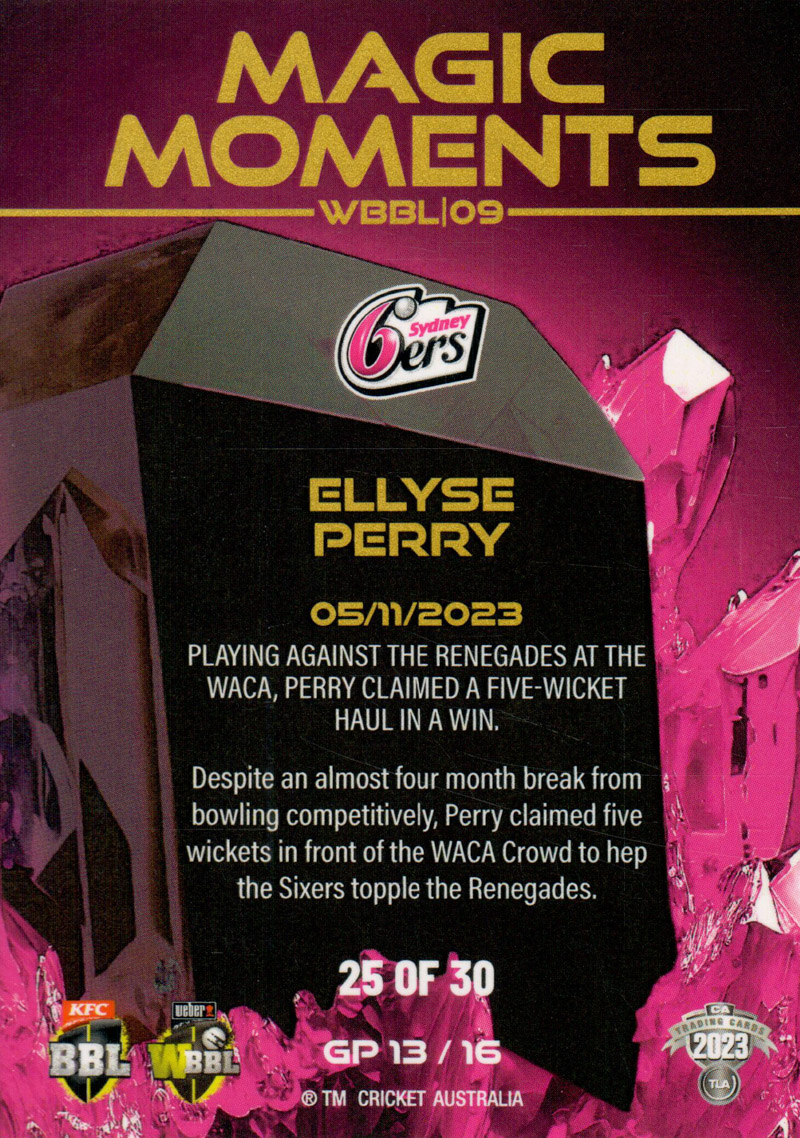 Ellyse Perry back