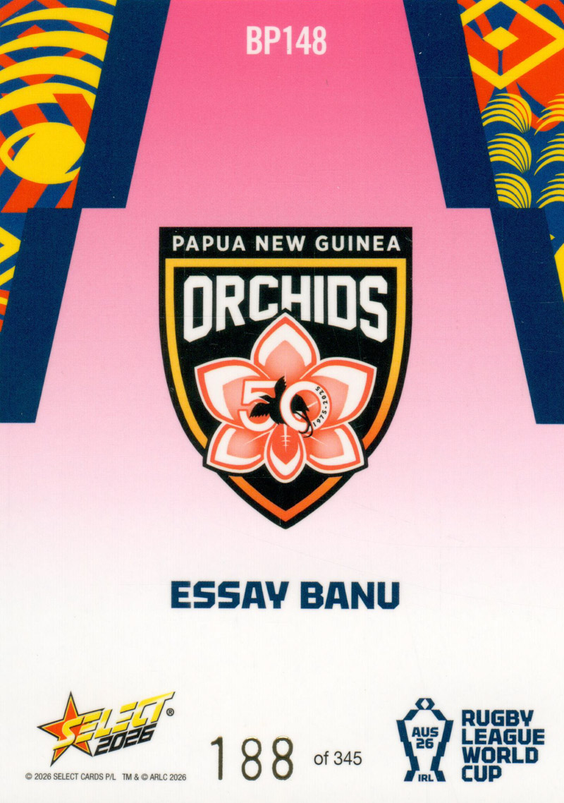 Essay Banu back
